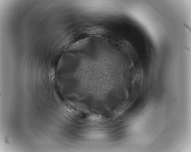 X0000097770767200803211736