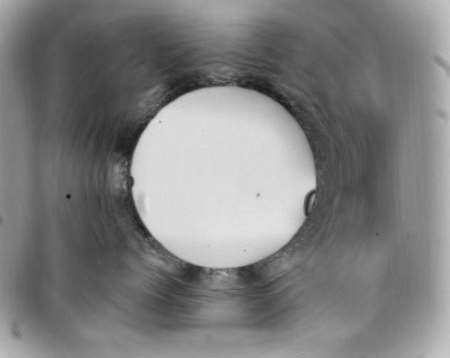 X0000097770768200803211736