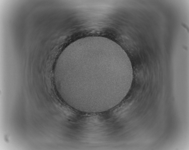 X0000097770769200803211736