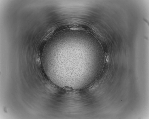 X0000097770771200803211736