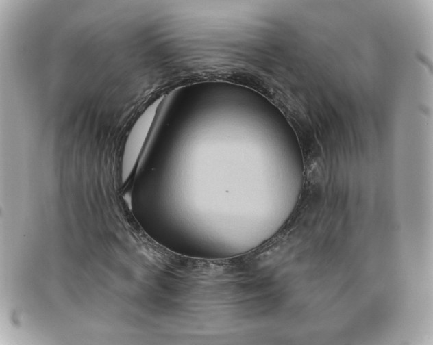 X0000097770772200803211736