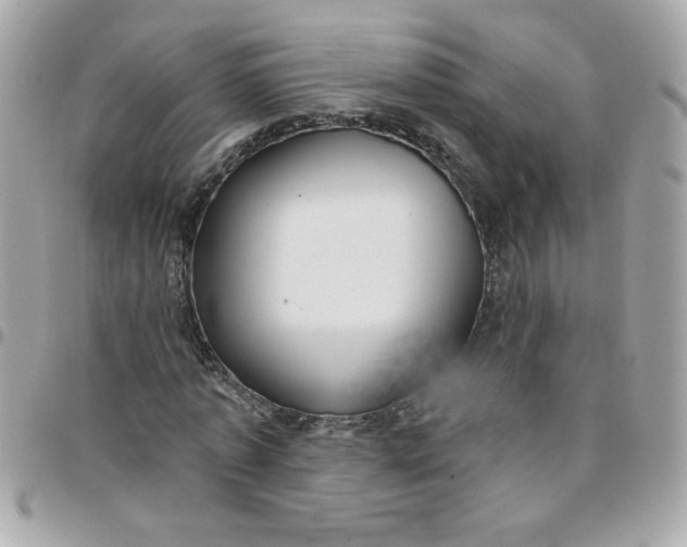 X0000097770773200803211736