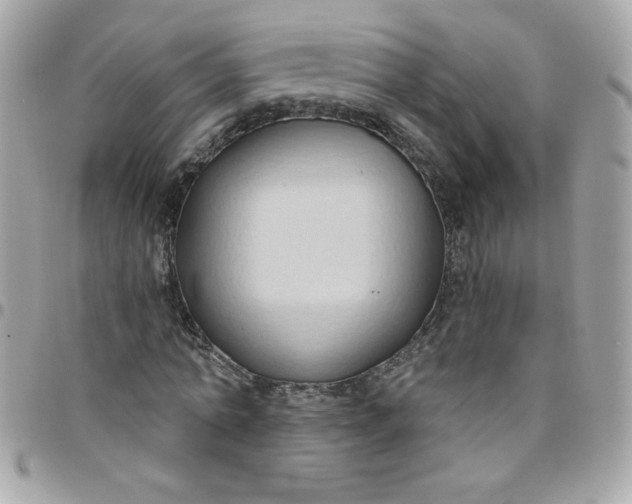 X0000097770774200803211736