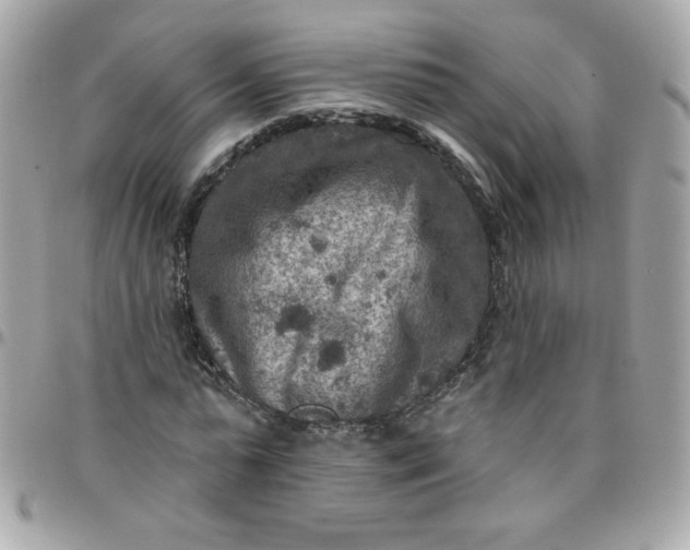 X0000097770775200803211736