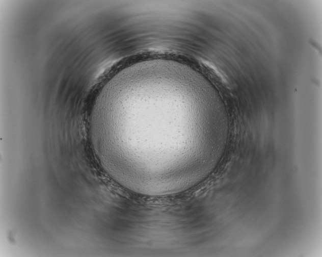 X0000097770776200803211736