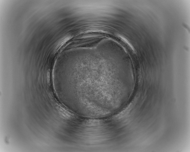 X0000097770777200803211736