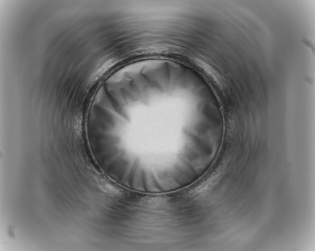 X0000097770778200803211736