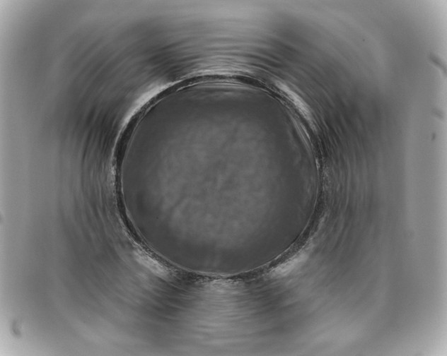 X0000097770779200803211736