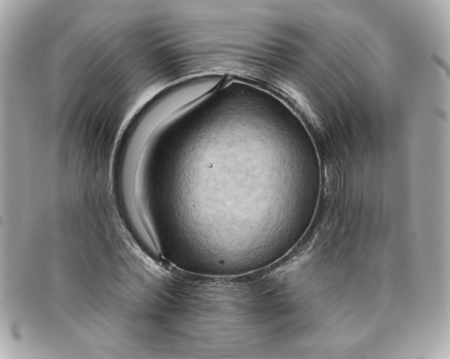 X0000097770780200803211736