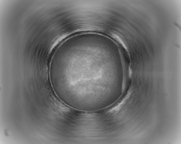 X0000097770781200803211736