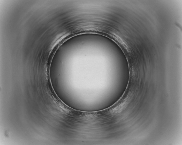 X0000097770782200803211736