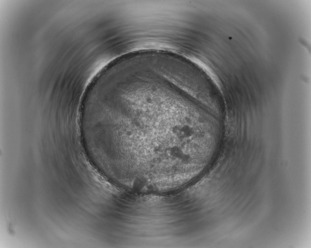 X0000097770783200803211736