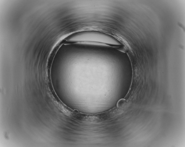 X0000097770784200803211736