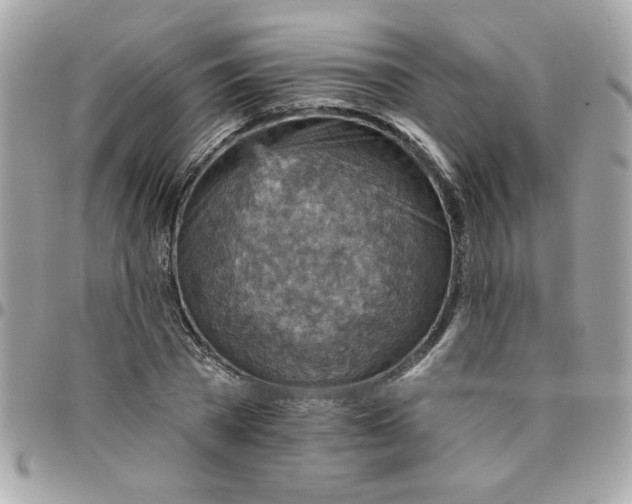 X0000097770785200803211736