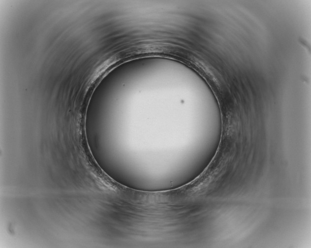 X0000097770786200803211736