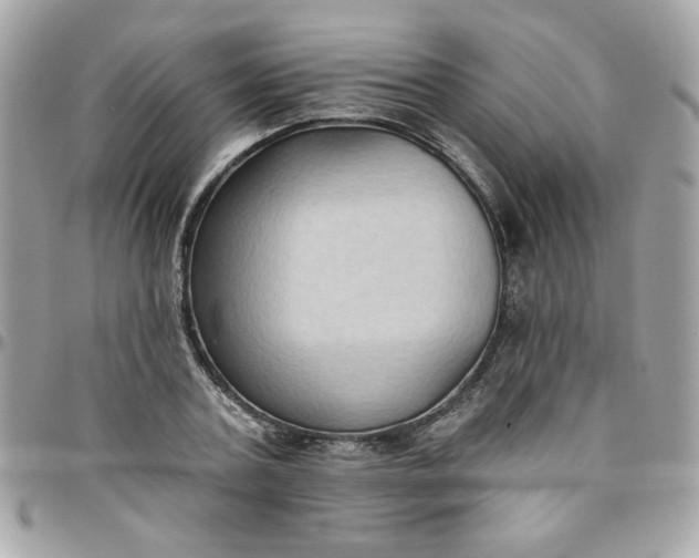 X0000097770787200803211736