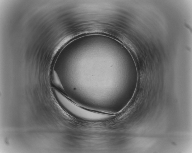 X0000097770789200803211735