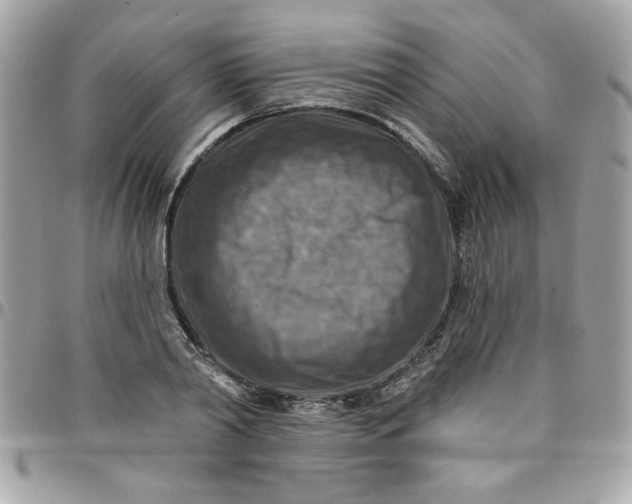 X0000097770790200803211735