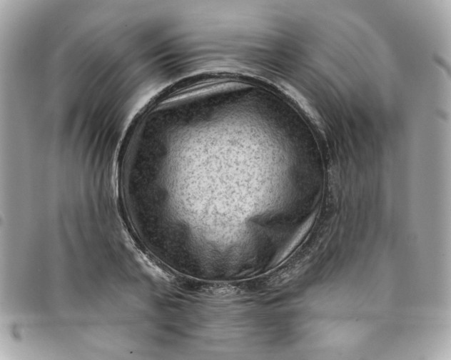 X0000097770791200803211735