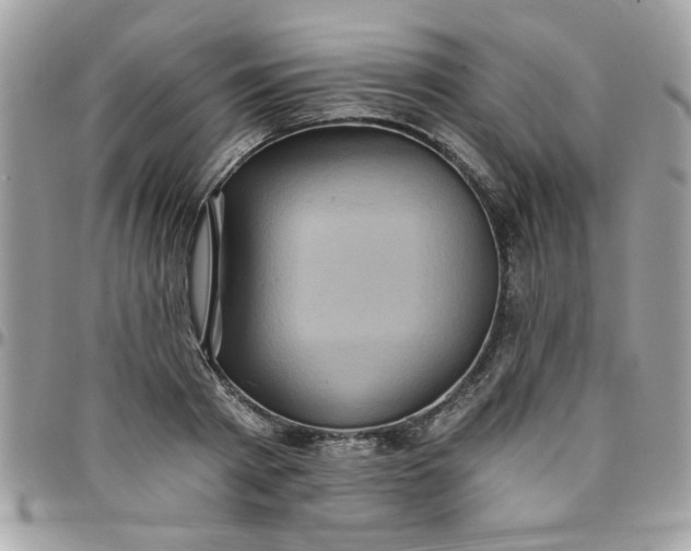 X0000097770793200803211735