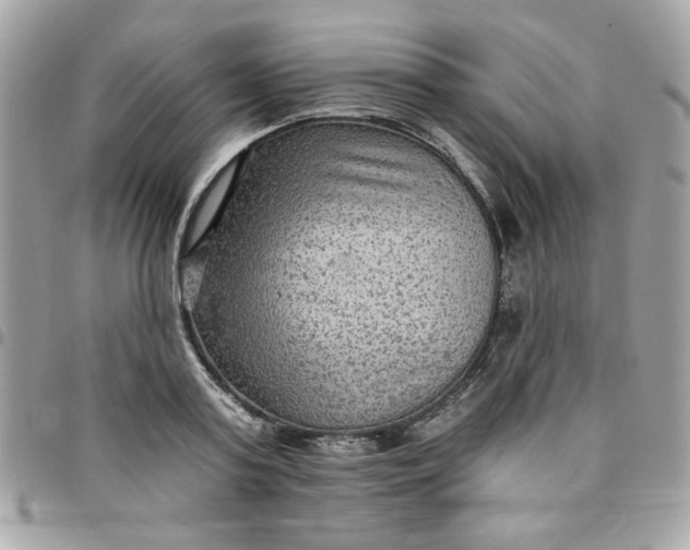 X0000097770795200803211735