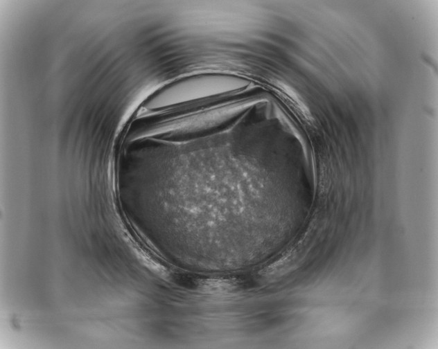 X0000097770796200803211735