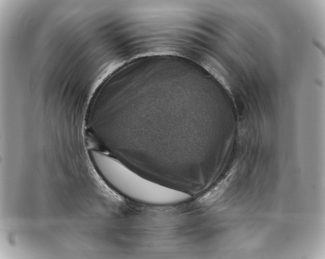 X0000097770797200803211735