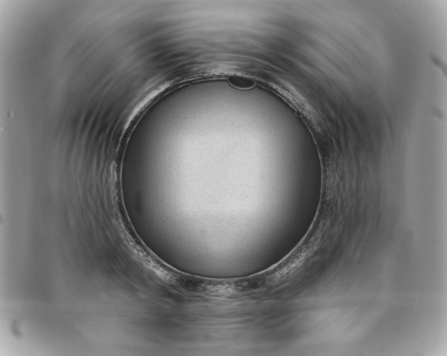 X0000097770798200803211735