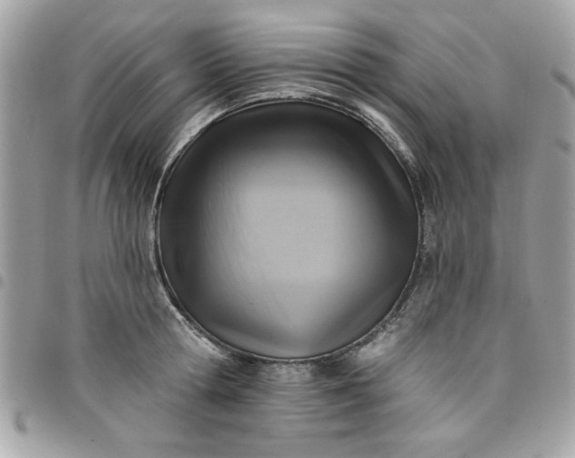 X0000097770802200803211735