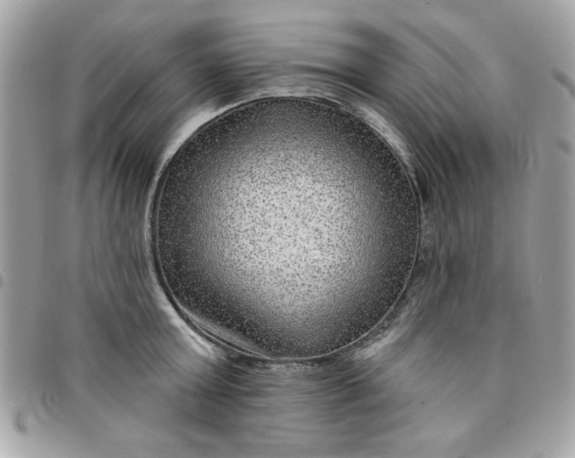 X0000097770803200803211735