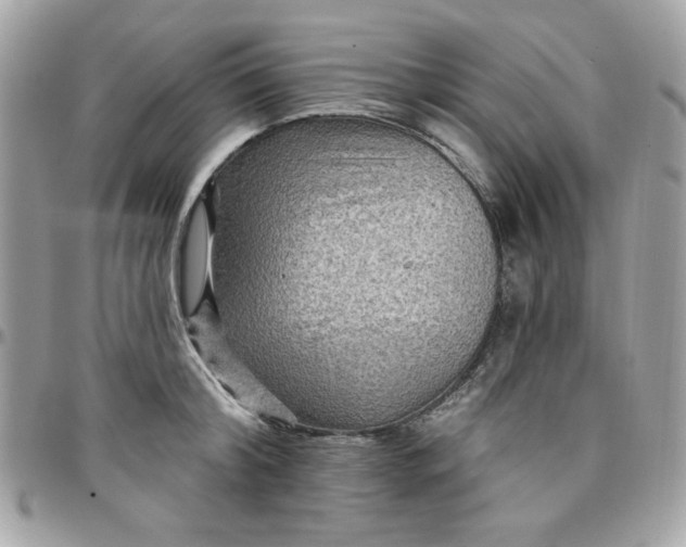 X0000097770804200803211735