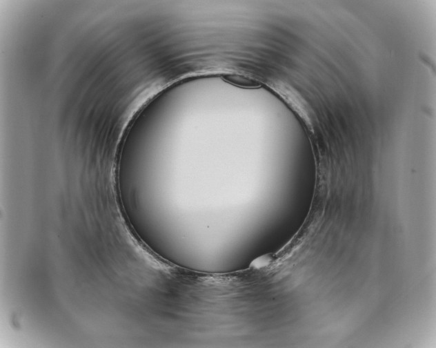 X0000097770805200803211735