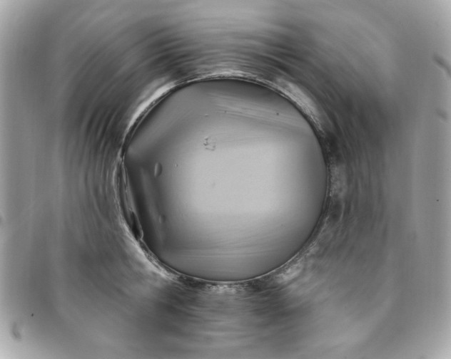 X0000097770806200803211735