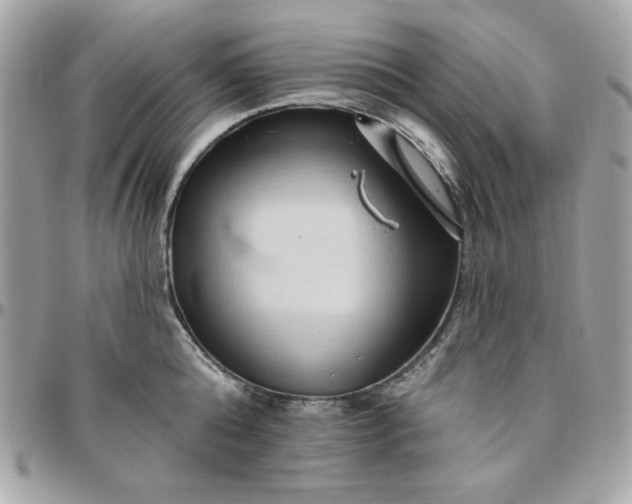 X0000097770808200803211735