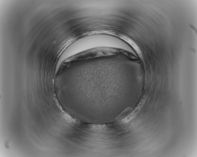 X0000097770809200803211735