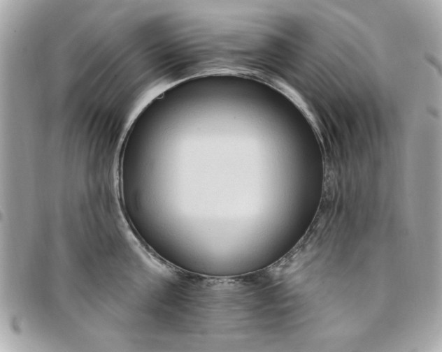 X0000097770811200803211735