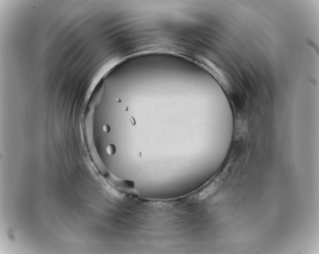 X0000097770812200803211735