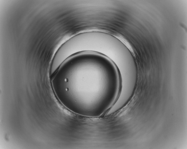 X0000097770813200803211735