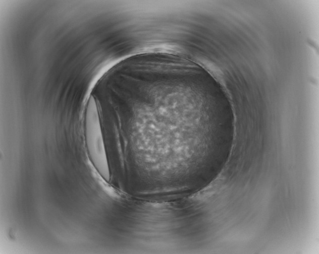 X0000097770816200803211735