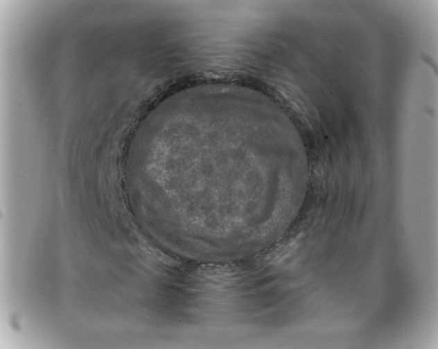 X0000097770817200803211734