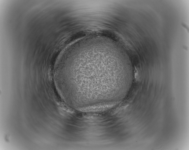 X0000097770819200803211734