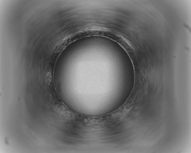 X0000097770821200803211735