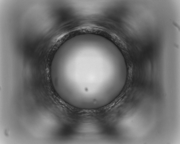 X0000097770822200803211735