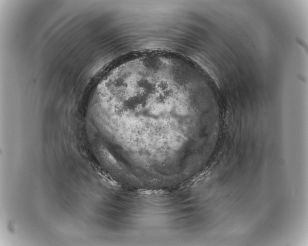 X0000097770823200803211735