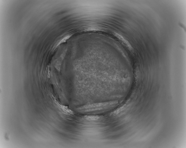 X0000097770825200803211735