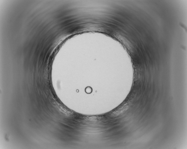 X0000097770828200803211735