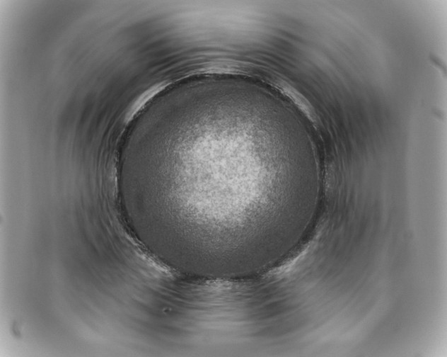 X0000097770829200803211735