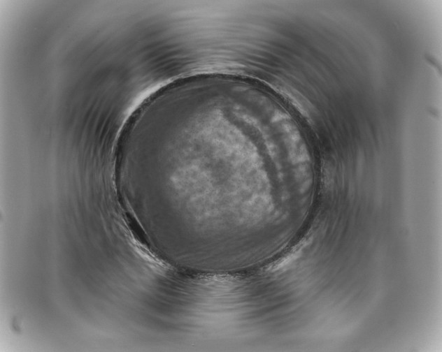 X0000097770830200803211735