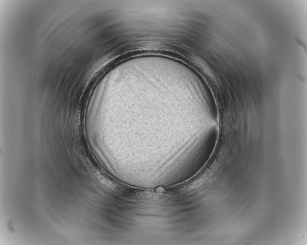 X0000097770831200803211735