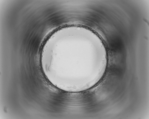 X0000097770832200803211735